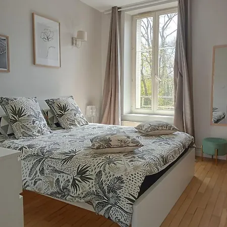 Nancy Ville Appartement