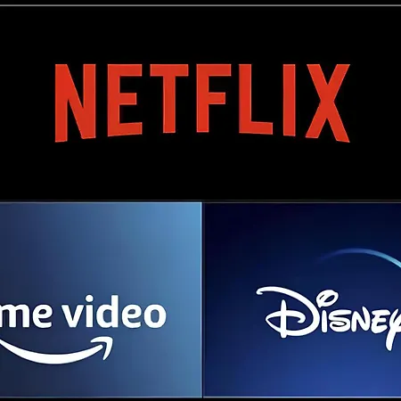 Appart Hôtel Parc Sainte Marie *