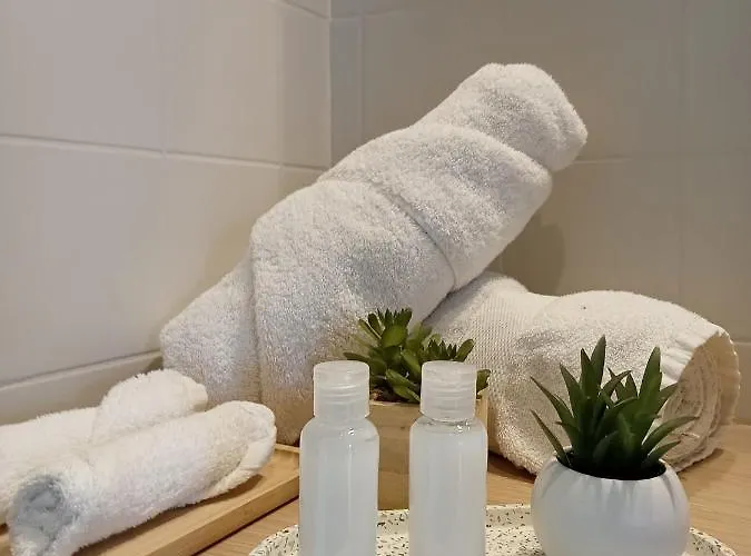 Appart Hôtel Parc Sainte Marie *